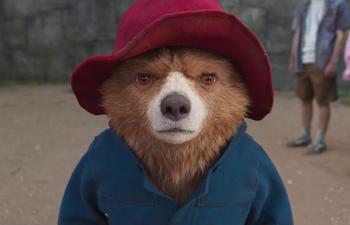 Paddington au Péru