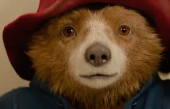 Un passeport à préparer dans la bande-annonce de Paddington in Peru