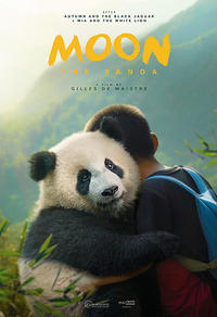 Moon le panda